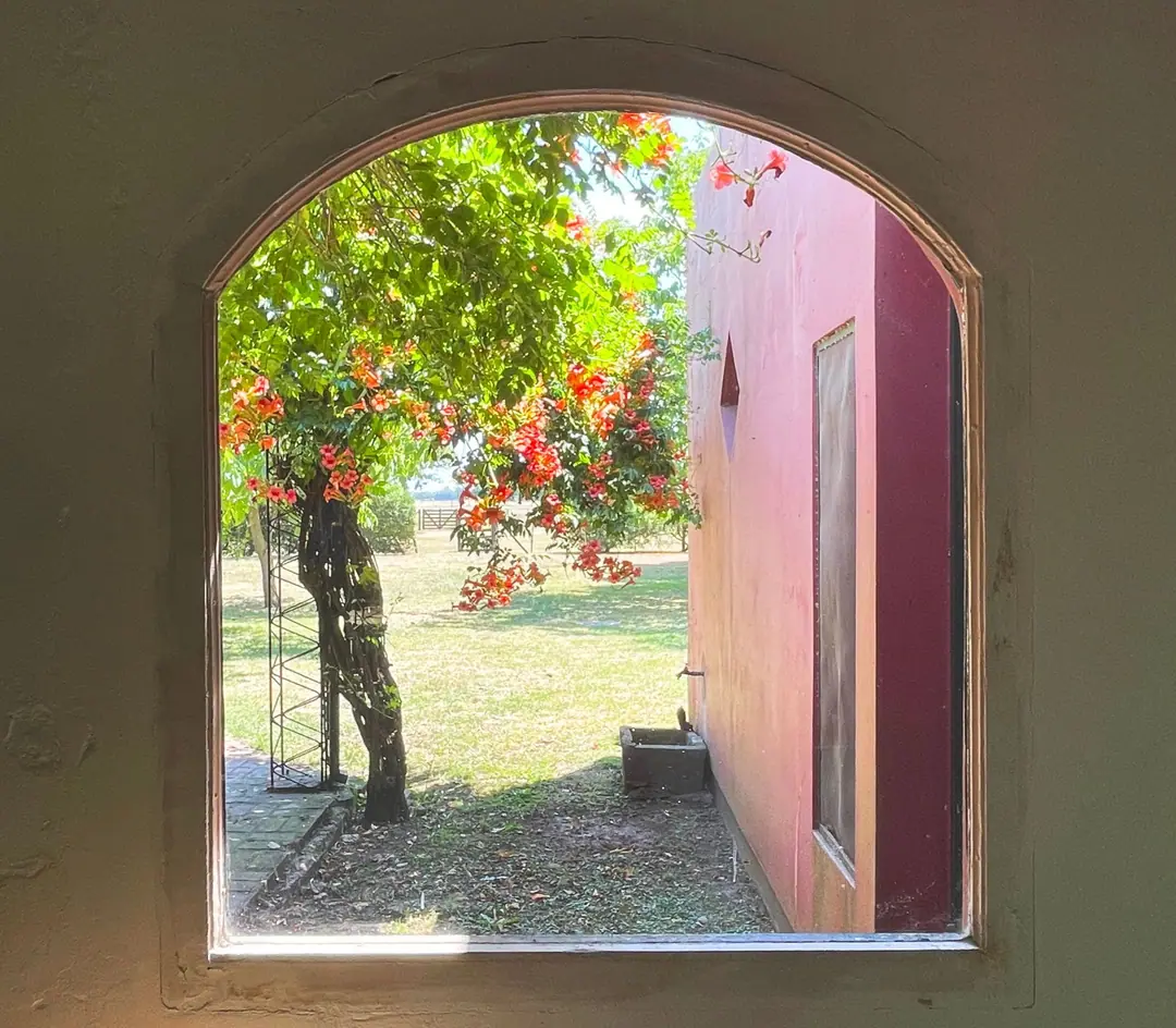 Arched windows along an interior passage