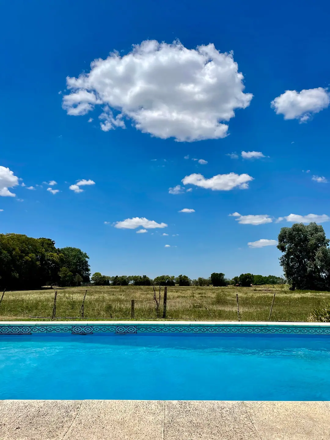 The pool with the pergola and masonry seating