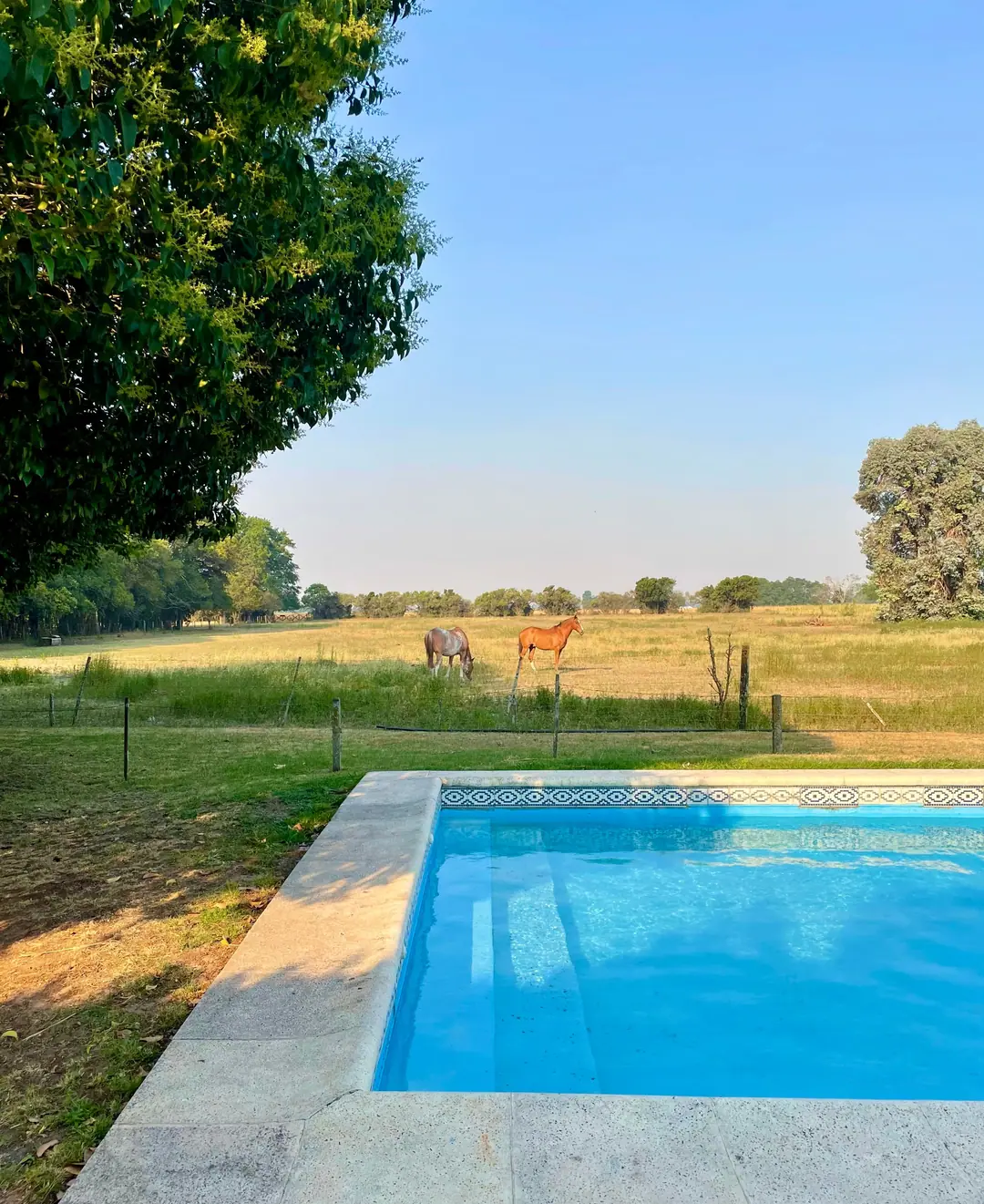 The pool with the pergola and masonry seating